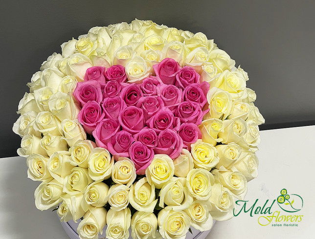 101 бело-розовая роза с сердцем в коробке ( Под заказ 5 дней ) Фото